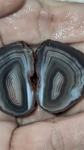✨️ Amazing shadow bands in this Botswana Agate !#crystals #minerals #gemstone