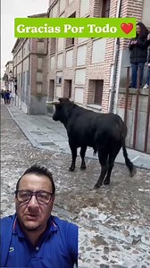 This Brave Bull Is Very Handsome. #bravebull @ExpoVideo