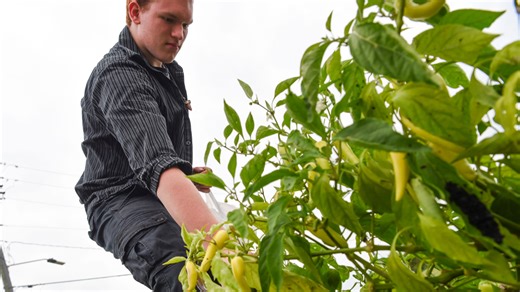 What are soil temperatures in Iowa? April's forecast shows when to start planting a garden