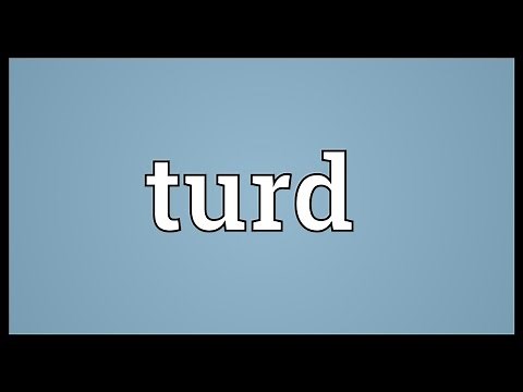 Turd Meaning