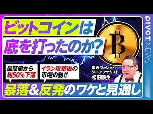【ビットコインは底を打ったのか？】最高値から約50%の下落／BTCはデジタルゴールドか？／レイダリオのビッグサイクル論／BTCが基軸通貨になり得ない？／今後の市場変化【PIVOT NEWS】