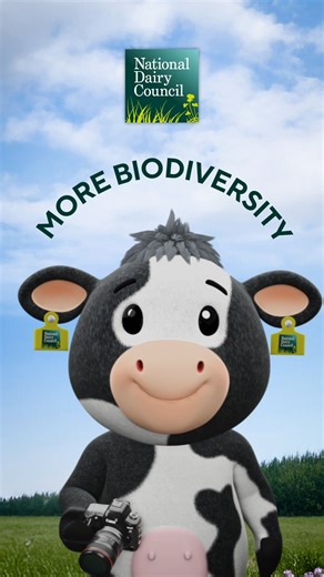 Irish dairy farms don’t just produce milk, they grow life  Careful grazing and well-kept hedgerows create perfect habitats for bees, birds, and even the Irish hare  Farming and nature, thriving side by side  #IrishDairy #FromTheGroundUp #MillyTheCow #Biodiversity | National Dairy Council | Facebook