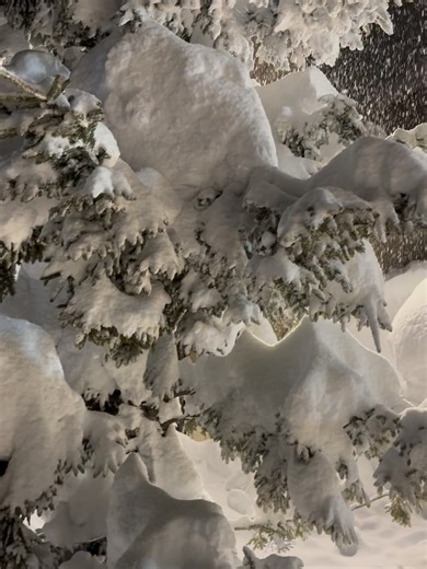 良原安美 on Instagram: "❄️ 東京でも雪❄️ 少し前の⛷️"