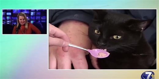 Morning Extra: Top Stories from Tues. Oct. 29