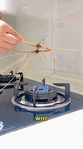 Transform Twigs Into Stunning Art #ArtMagic #DIYDecor #CraftyIdeas #TwigCraft #HomeArtDecor | YNP Media