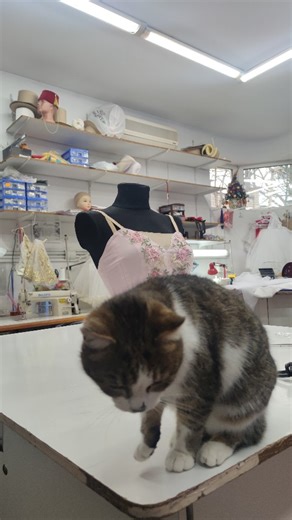 ♛ Ballet costumes ♛ on Instagram: "Working on your new costumes 🤗 #benefis #ballerina #balletcostume"