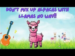 The Story Of La La The Llama | Fun Song For Kids | A Llama Song