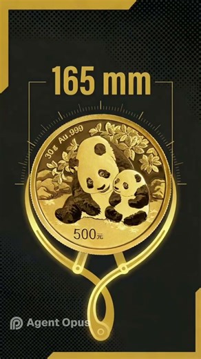 World's Biggest Coins Gold, Silver, and Stone Giants Revealed