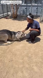 25K views · 1.5K reactions | UPDATE: We are sad to report that HUGO...