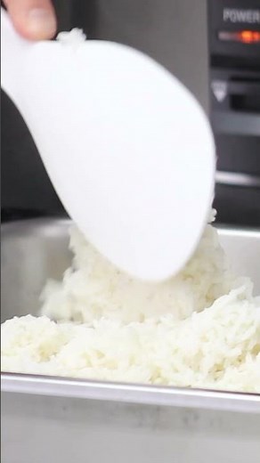 Commercial Rice Cooker/Warmer | Proctor Silex® Commercial | 40 or 60 Cup | 37560R & 37540 Series