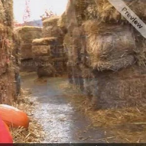 3.9K views · 77 reactions | Bales, sun, water and a little Bale Buster fertilizer to get the bales conditioned within two weeks. No soil required, no weeding, less bending and an extended season. Details on our website, or get a book in our store. | Learn to Grow a Straw Bale Garden | Facebook