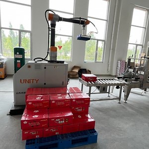 [Hot Item] Palletizing Robot 20kg 30kg 40kg Collaborative Cobot Palletizing Robot for Cartons Boxes Cases