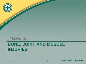 BONE, JOINT AND MUSCLE INJURIES - SlideServe