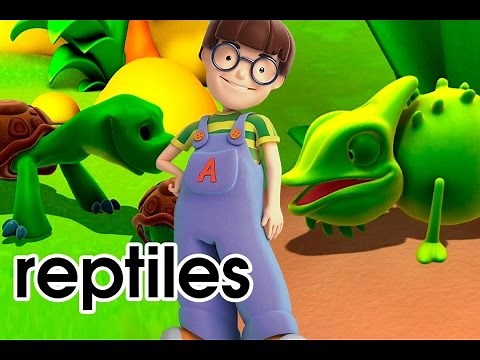 Alex educational cartoon videos preschool - animals reptiles