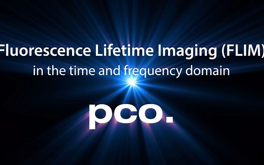 pco.flim：荧光寿命成像（FLIM）视频教程