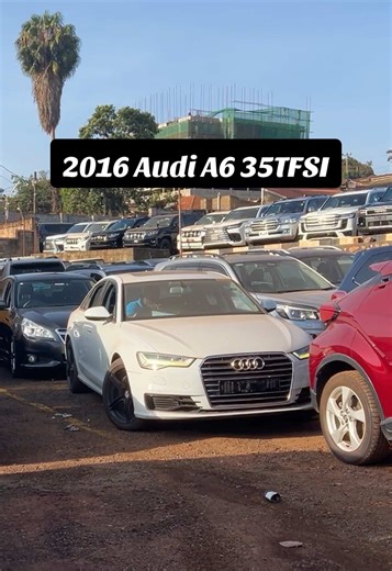 2016 Audi A6 35 TFSI: Power Meets Luxury