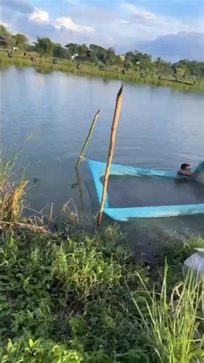 Milin Fish Seed & Spwan Supplier 😍