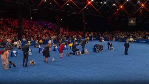 2025 NDS: Toy Group winner