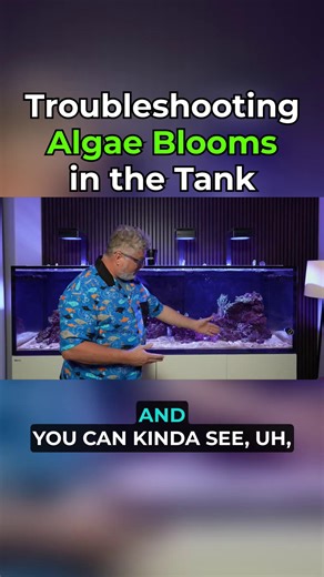 Algae bloom taking over? 🌿🛑 Don’t panic—it’s usually trying to tell you something about your water chemistry. If your tank is looking a little greener than usual, check your