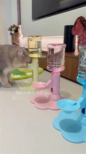 Ever since I switched to this automatic pet water dispenser #cat #pets #cute #petsupplies