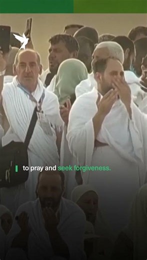 Millions gather at Mount Arafat for Hajj's holiest day