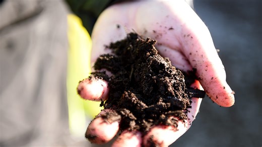 A look at the Bioenergy DevCo facility in Seaford