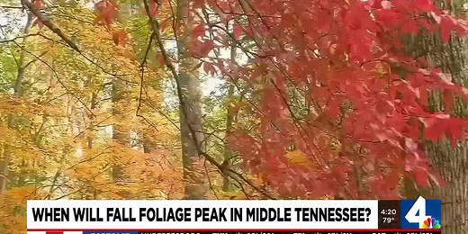 When will the fall foliage peak in Middle Tennessee?