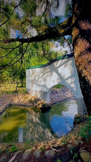 Cinematic scenary video camera movement tutorial. #cinematic #tutorial #scenary #naturephotography #videography #cinematography #sirmartstudios | Muhammad Bin Maharoff