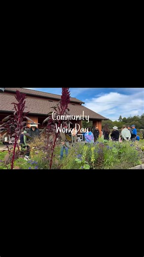 Community work day - contributing to the land and collaborating with the community 🪏 | Camphill Communities California