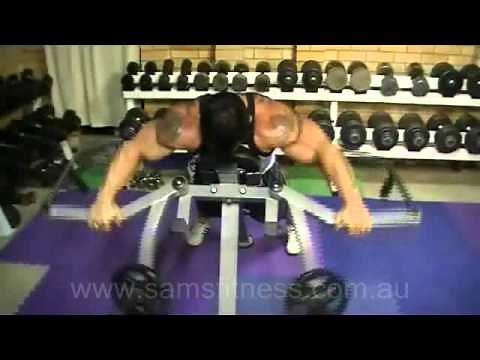 Lee Priest Training Rear Delts on the Powertec Leverage Pec Fly