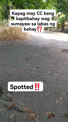 Kapag may CC kang kapitbahay wag sumayaw sa labas ng bahay🤭 #fypシ゚ #fbreelsfypシ゚viralvideo #forintertainmentpurposesonly #justforfun #monetization | Ferly Besales Cosme