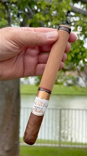 Cigar ASMR | 🔥💨#cigarlovers #cigarlife #cigartime #stdupont #cigarshow #cigaroftheday