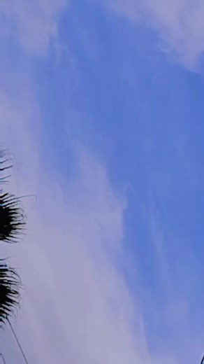 Os vídeos de Rebecca Ramos (@rebecca.ramos) com som original - Rebecca Ramos