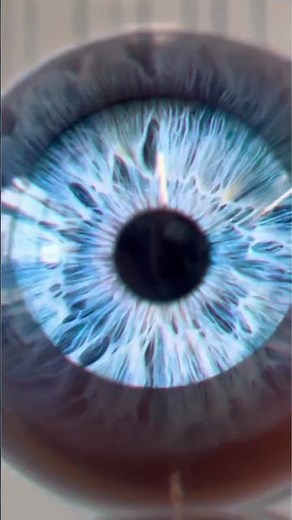 Science anatomy exhibits featuring the senses of the ear, nose, and eye