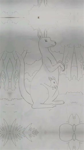 easy pencil drawing and sketch for beginners Kangaroo