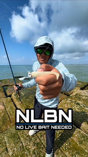 Using The Famous NLBN Paddle Tail Lure to Catch Fish!!🔥🎣 We used the 3inch “Hell Yeah Butter” from @nolivebaitneeded to catch Speckled Trout! It is no doubt an awesome lure to target lots of different fish. 🙌🔥 #Fishing #NLBN #Lures #Saltwater #Jetty #Texas | GG Anglers