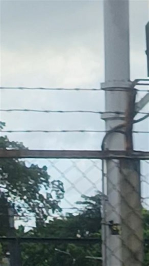 38 reactions · 24 comments | Monica Floria Martin on Reels | Facebook