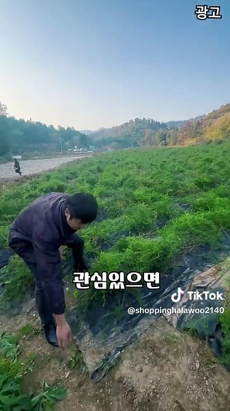 천공부직포의 이점과 사용법