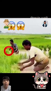 31K views · 1.3K reactions | This is the reason why the people in Bangladesh  dig the mud in their farm and see to the seller. #Bangladesh #farmer | Panta Supap | Facebook