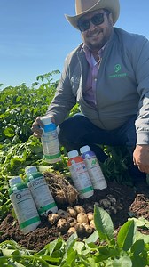 En el campo con el Ing. Nacho Rivera 🥔 Hoy visitamos El Girasol, donde el Ing. Nacho Rivera nos cuenta su experiencia con los productos Smart Fields en su cultivo de papa. 🚿🌱 🍃 Mejor desarrollo radicular 🍃 Mayor vigor en las plantas 🍃 Resultados visibles en sanidad y rendimiento Descubre de primera mano cómo la agricultura del futuro cobra vida. 🍃🔬 ¡Dale play! ▶️ #SmartFields #Papa #InnovaciónAgrícola #Agricultura #Agz #bioreguladores #bioestimuladores #agroquimicos #Cultivo | Smartfield