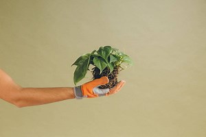 Customer Health Score: valioso indicador de gestión para tu empresa