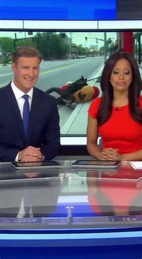 News Anchors LOSE IT Over Hot Dog Thief K9 Takedown 😂🌭🐕 Insane Blooper (2026)