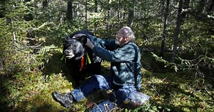 About the North American Bear Center