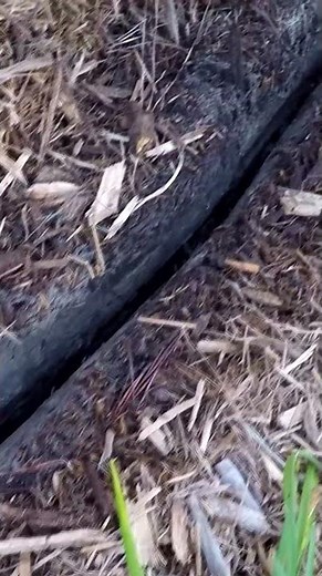 Easiest way to dig trench for direct bury