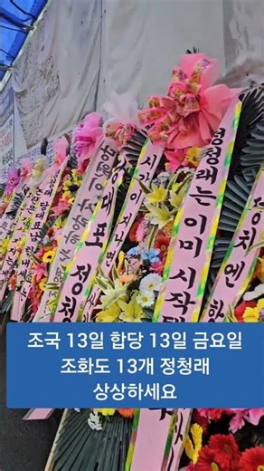 이잼 지지자분들 쌀화환 #김상진 정청래 지지자 다이옥신 조화#정청래 #조국 #합당 물건너감#shorts