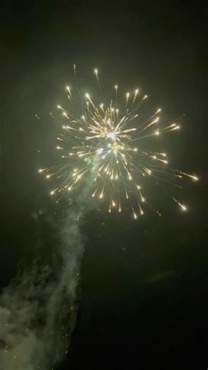 Multi Break Shell Attempt 2 #fireworks #pyrotechnica #pyro #lfg