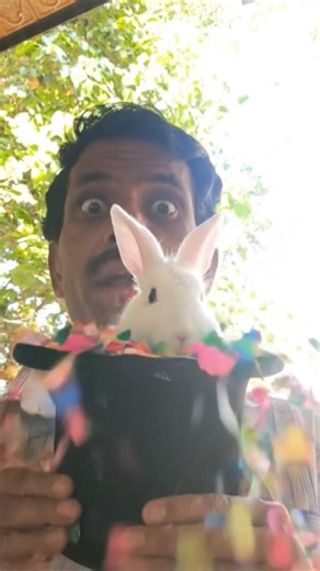 nagu nagutha nali nali#song|dr rajkumar#rabbit magic video|pb srinivas