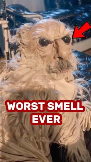 STINKIEST ANIMALS ALIVE 😱‼️ #animals #wildlife