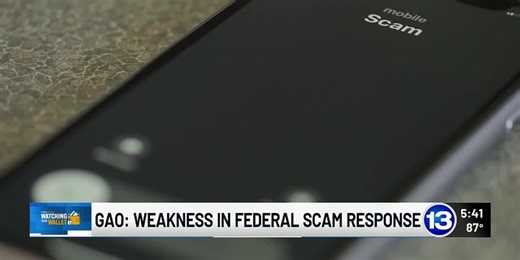 Watching Your Wallet: Weakness in federal scam response