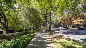 Free trees are on the way for Germantown residents